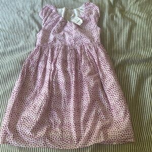 Crewcuts Dress Size 10